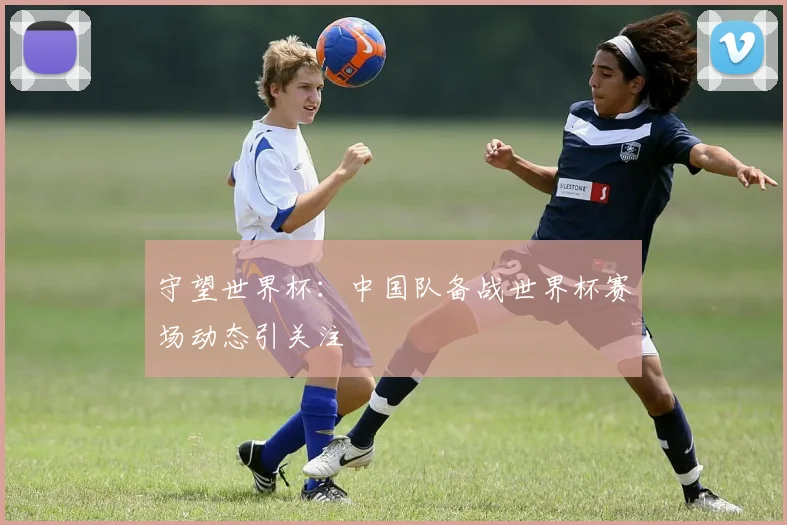 守望世界杯：中国队备战世界杯赛场动态引关注