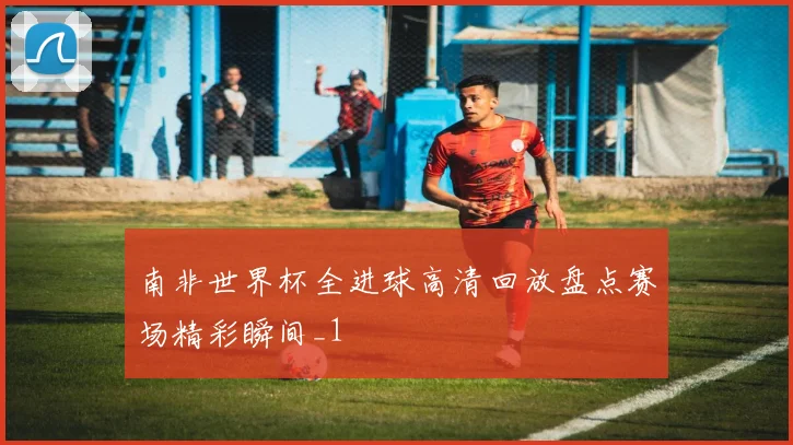 南非世界杯全进球高清回放盘点赛场精彩瞬间_1