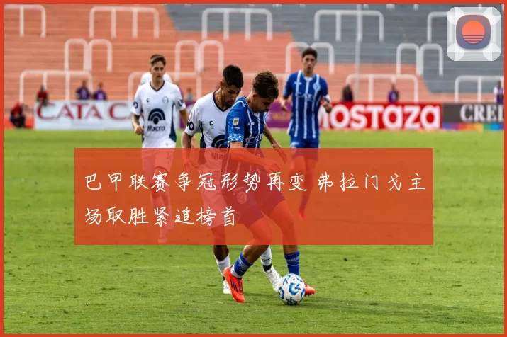 巴甲联赛争冠形势再变 弗拉门戈主场取胜紧追榜首