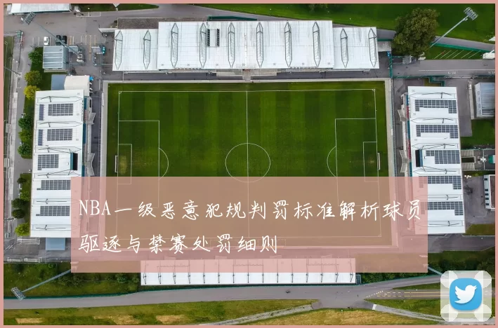 NBA一级恶意犯规判罚标准解析球员驱逐与禁赛处罚细则