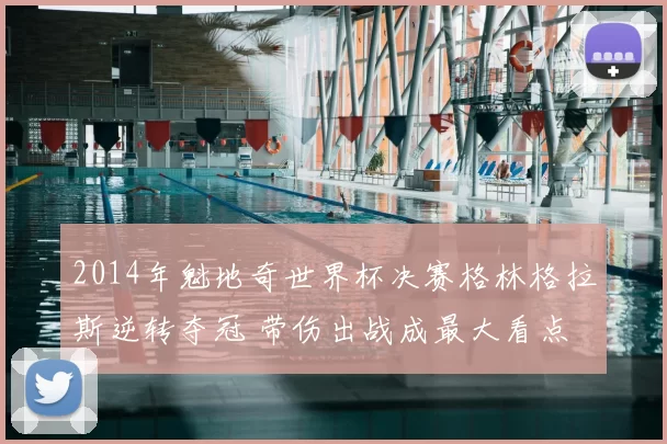 2014年魁地奇世界杯决赛格林格拉斯逆转夺冠 带伤出战成最大看点