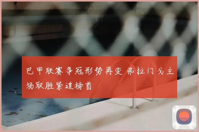 巴甲联赛争冠形势再变 弗拉门戈主场取胜紧追榜首