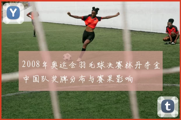 2008年奥运会羽毛球决赛林丹夺金中国队奖牌分布与赛果影响